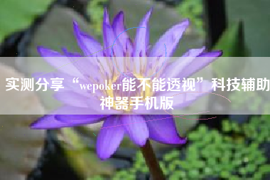 实测分享“wepoker能不能透视”科技辅助神器手机版