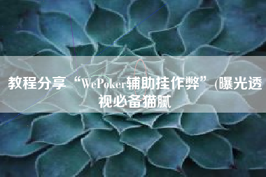 教程分享“WePoker辅助挂作弊	”(曝光透视必备猫腻