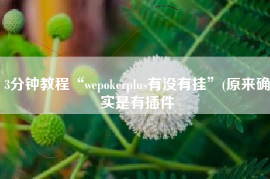 3分钟教程“wepokerplus有没有挂”(原来确实是有插件