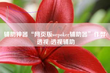 辅助神器“网页版wepoker辅助器	”作弊(透视)透视辅助