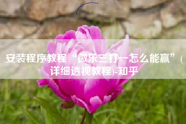 安装程序教程“微乐三打一怎么能赢”(详细透视教程)-知乎