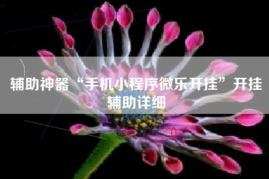 辅助神器“手机小程序微乐开挂	”开挂辅助详细