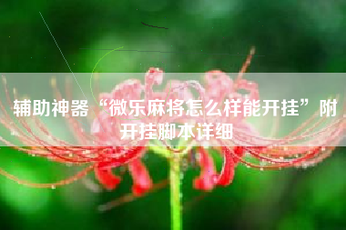 辅助神器“微乐麻将怎么样能开挂”附开挂脚本详细