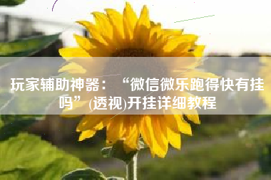 玩家辅助神器：“微信微乐跑得快有挂吗	”(透视)开挂详细教程