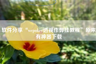 软件分享“wepoker透视作弊挂教程”原来有神器下载