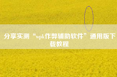 分享实测“wpk作弊辅助软件”通用版下载教程