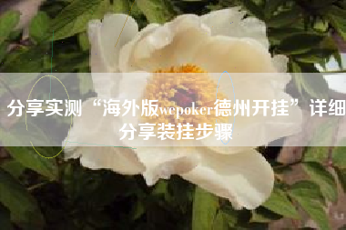 分享实测“海外版wepoker德州开挂”详细分享装挂步骤