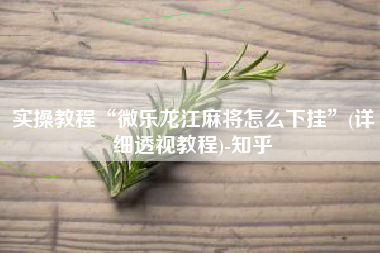 实操教程“微乐龙江麻将怎么下挂”(详细透视教程)-知乎