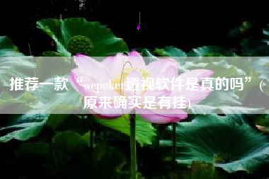 推荐一款“wepoker透视软件是真的吗	”(原来确实是有挂)