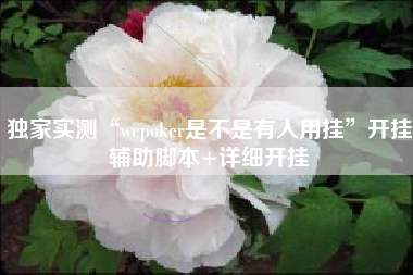 独家实测“wepoker是不是有人用挂”开挂辅助脚本+详细开挂