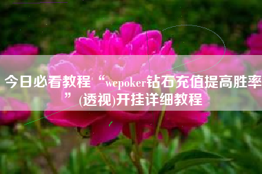 今日必看教程“wepoker钻石充值提高胜率	”(透视)开挂详细教程