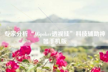 专家分析“AGpoker透视挂”科技辅助神器手机版