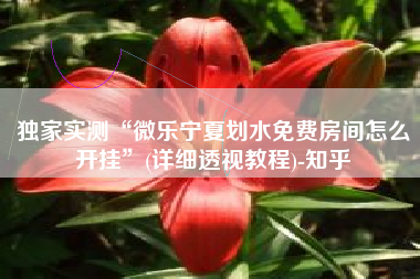 独家实测“微乐宁夏划水免费房间怎么开挂”(详细透视教程)-知乎