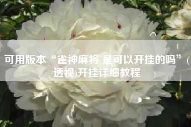 可用版本“雀神麻将 是可以开挂的吗	”(透视)开挂详细教程