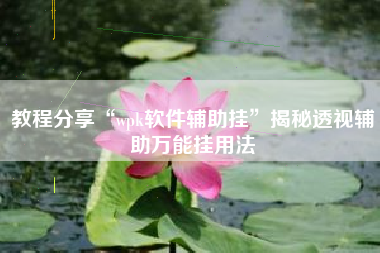 教程分享“wpk软件辅助挂”揭秘透视辅助万能挂用法