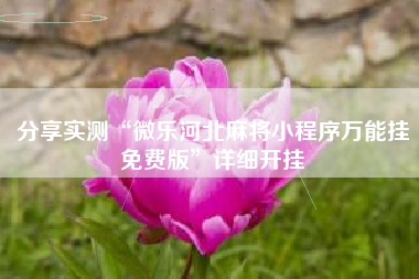 分享实测“微乐河北麻将小程序万能挂免费版”详细开挂