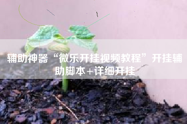 辅助神器“微乐开挂视频教程”开挂辅助脚本+详细开挂
