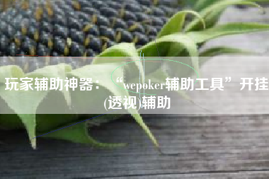 玩家辅助神器：“wepoker辅助工具”开挂(透视)辅助