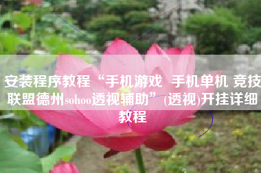 安装程序教程“手机游戏  手机单机 竞技联盟德州sohoo透视辅助”(透视)开挂详细教程