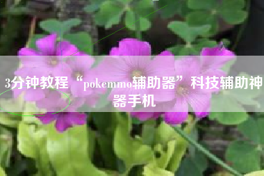 3分钟教程“pokemmo辅助器”科技辅助神器手机