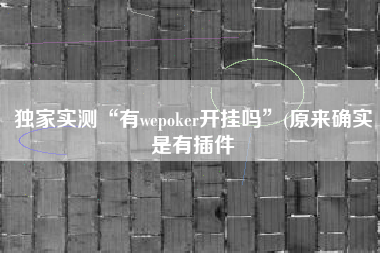 独家实测“有wepoker开挂吗”(原来确实是有插件