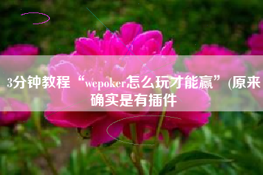 3分钟教程“wepoker怎么玩才能赢”(原来确实是有插件