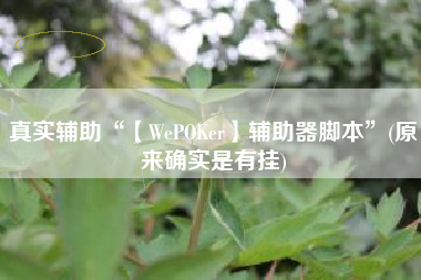 真实辅助“【WePOKer】辅助器脚本”(原来确实是有挂)
