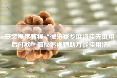 安装程序教程“微乐家乡麻将挂先试用后付款	”揭秘透视辅助万能挂用法