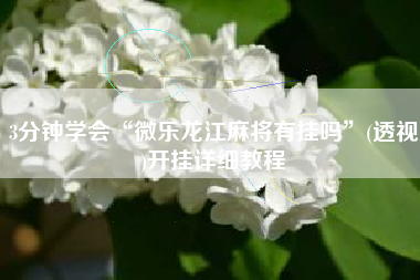 3分钟学会“微乐龙江麻将有挂吗”(透视)开挂详细教程