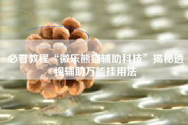 必看教程“微乐熊猫辅助科技”揭秘透视辅助万能挂用法