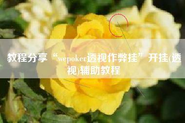 教程分享“wepoker透视作弊挂	”开挂(透视)辅助教程