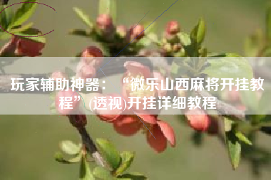 玩家辅助神器：“微乐山西麻将开挂教程”(透视)开挂详细教程