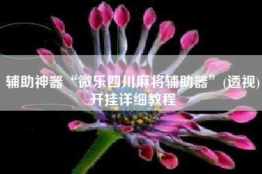 辅助神器“微乐四川麻将辅助器	”(透视)开挂详细教程