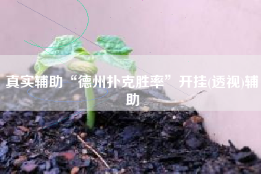 真实辅助“德州扑克胜率”开挂(透视)辅助