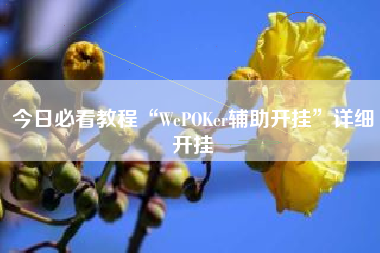 今日必看教程“WePOKer辅助开挂	”详细开挂
