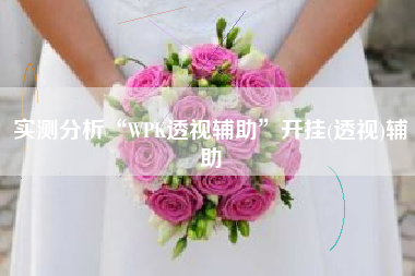 实测分析“WPK透视辅助”开挂(透视)辅助
