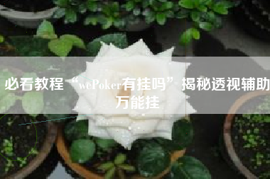 必看教程“wePoker有挂吗”揭秘透视辅助万能挂