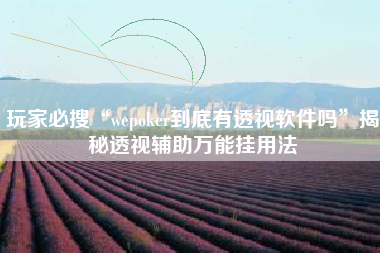 玩家必搜“wepoker到底有透视软件吗”揭秘透视辅助万能挂用法