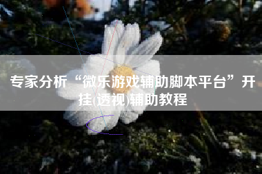专家分析“微乐游戏辅助脚本平台”开挂(透视)辅助教程