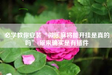 必学教你安装“微乐麻将能开挂是真的吗”(原来确实是有插件