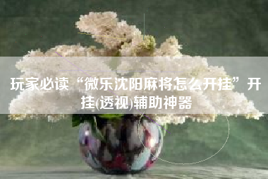 玩家必读“微乐沈阳麻将怎么开挂”开挂(透视)辅助神器
