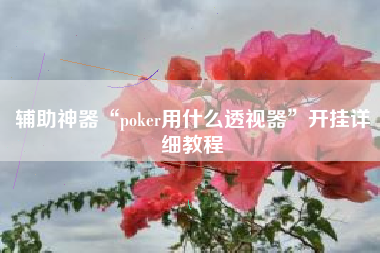 辅助神器“poker用什么透视器	”开挂详细教程