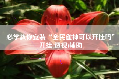 必学教你安装“全民雀神可以开挂吗”开挂(透视)辅助