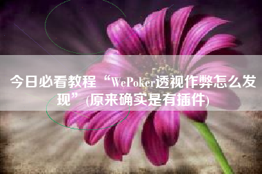 今日必看教程“WePoker透视作弊怎么发现”(原来确实是有插件)