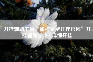 开挂辅助工具“雀神免费开挂官网	”开挂辅助脚本+详细开挂