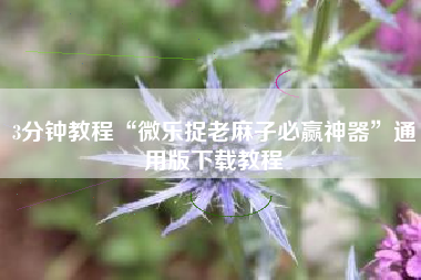 3分钟教程“微乐捉老麻子必赢神器”通用版下载教程