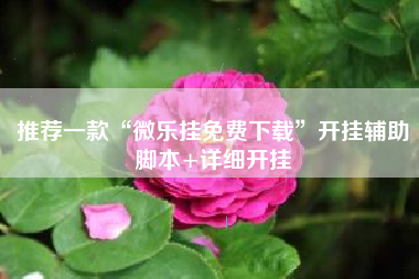 推荐一款“微乐挂免费下载”开挂辅助脚本+详细开挂