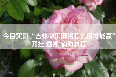 今日实测“吉林微乐麻将怎么玩才能赢”开挂(透视)辅助教程