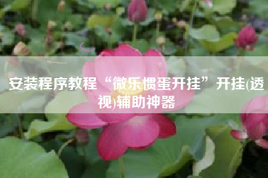 安装程序教程“微乐惯蛋开挂	”开挂(透视)辅助神器