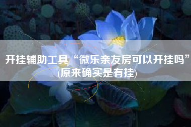 开挂辅助工具“微乐亲友房可以开挂吗”(原来确实是有挂)